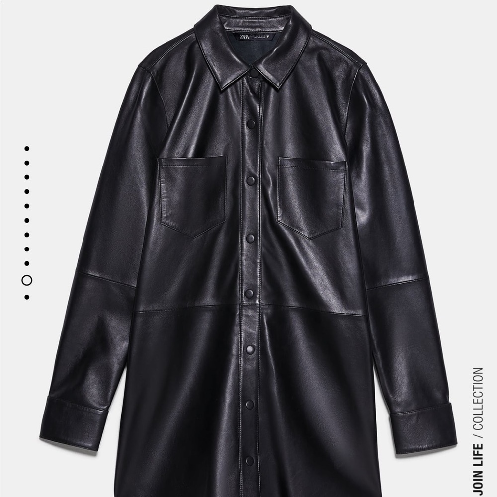 Zara dress